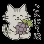 猫ちゃんとスイーツと夏