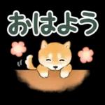 文字大きめ☆猫と動物たちのスタンプ