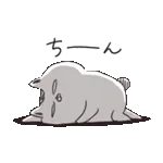 ねこちゃんとうさちゃんだもの