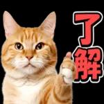 ہو اس
ہوں
وار
ہوا