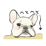 【動く】毎日使えるフレンチブルドッグ