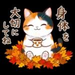 三毛猫のつめあわせ【秋】