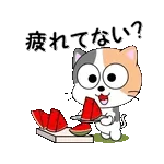 速報！	🎊新スタンプ、使ってみてね！