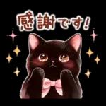 黒猫のつめあわせ♪
