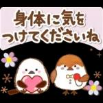 シマエナガの毎日の健康管理と疲労を応援♪