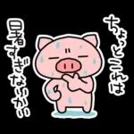 ぶたたの夏（1）🐷