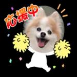 明日から本気出す！！