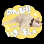 まるちゃんスタンプ＃1
