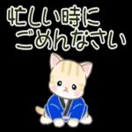 かわいい猫😺が来ますよ！