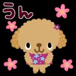 ゆるっとかわいい気持ちことば集＊