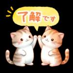 🌼春の息吹パッケージ