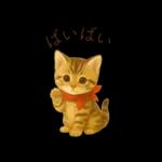 子猫のとらの日常スタンプ