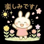 ✨白うさぎさん🐰 2