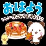 54 /11 よう おは