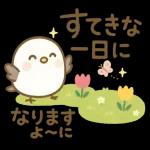 「にっこり山雀のハッピー便」