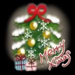 メリークリスマス🎄！