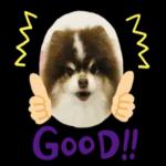 明日から本気出す！！