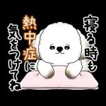 動く犬さん 2025 「暑い夏」