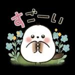 long tailed tit Rainyseason early summer