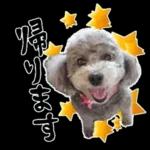 大人かわいい日常メッセージ?