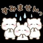 飛びだす♡しろいこ組
