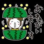 はな子✿夏真っ盛り日常。