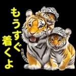 大阪神戸の野球好き虎ファン向け2