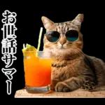 夏☆にゃんこ