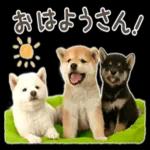 おはよう m