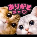 可愛い猫スタンプ！！