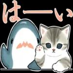 サメにゃん_----