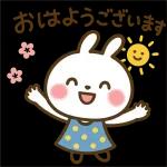 ✨白うさぎさん🐰