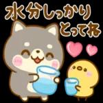 ☆ *
*
* 音
お体にきをつけて
お過ごしください