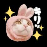 まるちゃんスタンプ＃1
