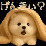 白いモフモフ～その名はサモエド！２