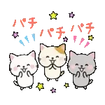 🍵 新年のんびりタイム、	ここで再スタート！🌸