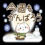 ほんわかさん【毎日便利_冬とお花】