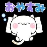 気づかいのできるネコ♪