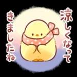 涼しくなってきましたね〜お気をつけて〜