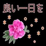 秋だね～紅葉が赤くなりそう～～