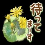 毎日使えるスタンプが届きました！！！