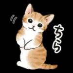 毎日☆猫たちのスタンプ