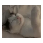 気持ちが伝わる日常メッセージ☆