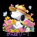 スヌーピー　PEANUTS SPORTS