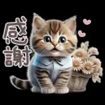 ねこちぃずNEO★やさしい秋スタンプ
