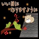 猫と仲間達♡日常。～