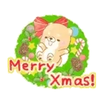 🎄お気に入りのクリスマスオーナメント🎁