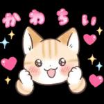 スナネコのサシャ 2