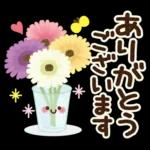 大人かわいい日常&よく使う言葉