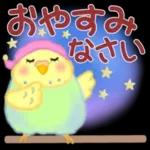 あなたの目には無限の優しさが映る🤩🤩
